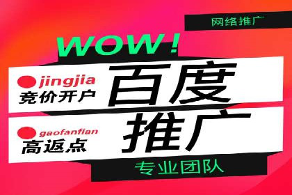 探索百度竞价托管外包的奥秘：成功企业的背后故事